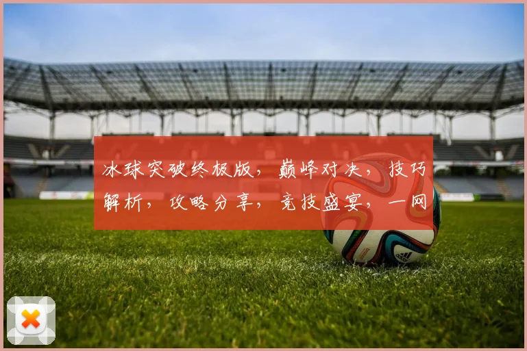 冰球突破终极版，巅峰对决，技巧解析，攻略分享，竞技盛宴，一网打尽