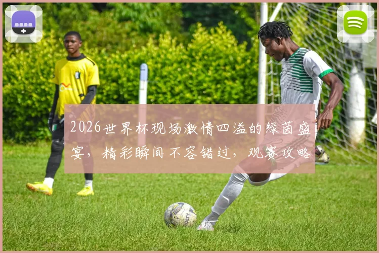 2026世界杯现场激情四溢的绿茵盛宴，精彩瞬间不容错过，观赛攻略必备